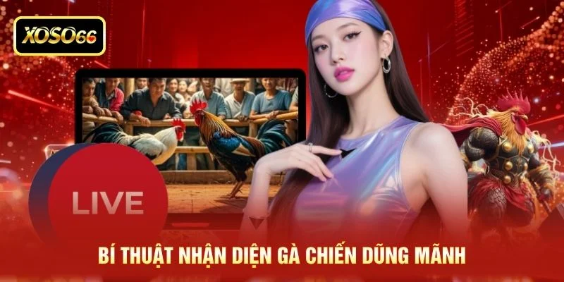 Bí thuật nhận diện gà chiến dũng mãnh Bí thuật nhận diện gà chiến dũng mãnh