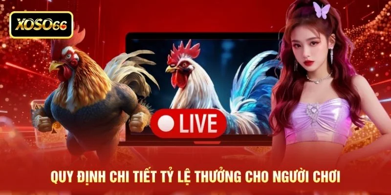 Quy định chi tiết tỷ lệ thưởng cho người chơi Quy định chi tiết tỷ lệ thưởng cho người chơi